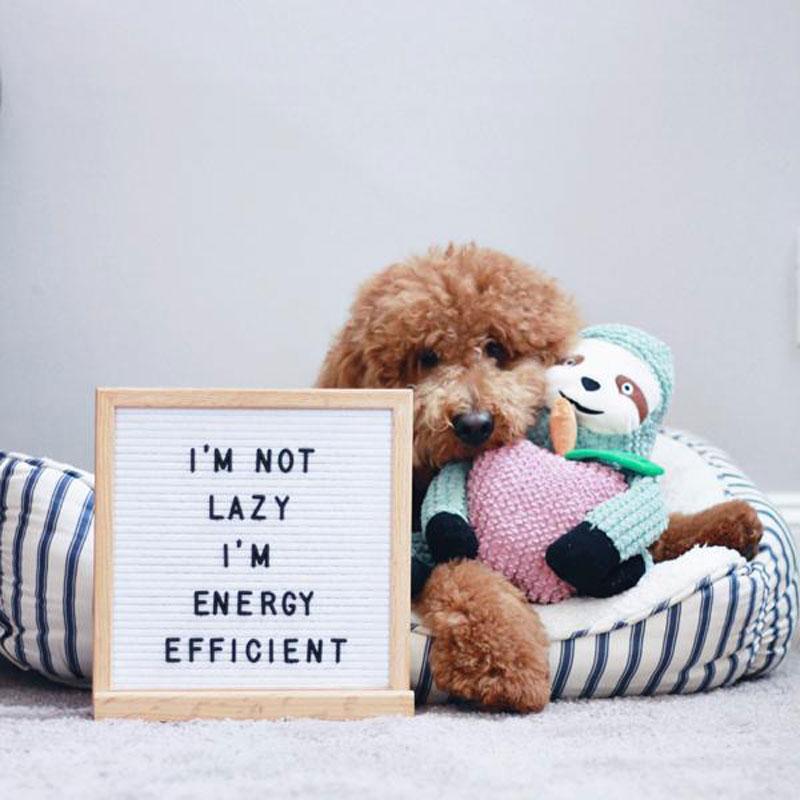 Patchwork Pet Sydney the Sloth Dog Toy (Large) - CreatureLand