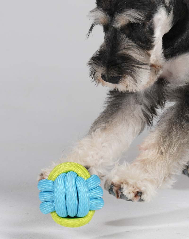 Pawzcity Neon City Rope Ball Dog Toy (5 Colours) - CreatureLand