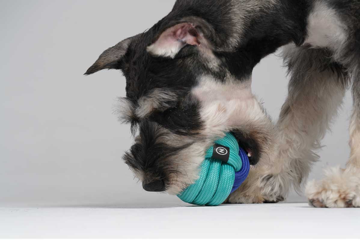 Pawzcity Neon City Rope Ball Dog Toy (5 Colours) - CreatureLand