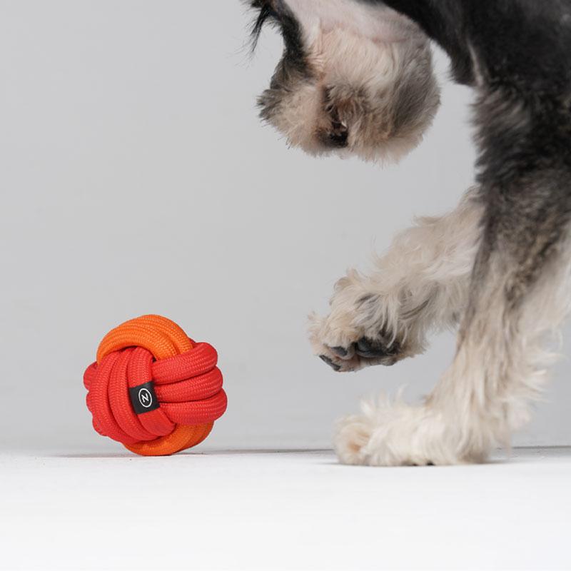 Pawzcity Neon City Rope Ball Dog Toy (5 Colours) - CreatureLand