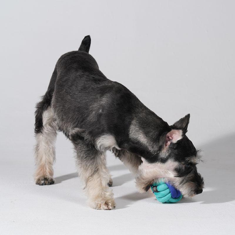 Pawzcity Neon City Rope Ball Dog Toy (5 Colours) - CreatureLand