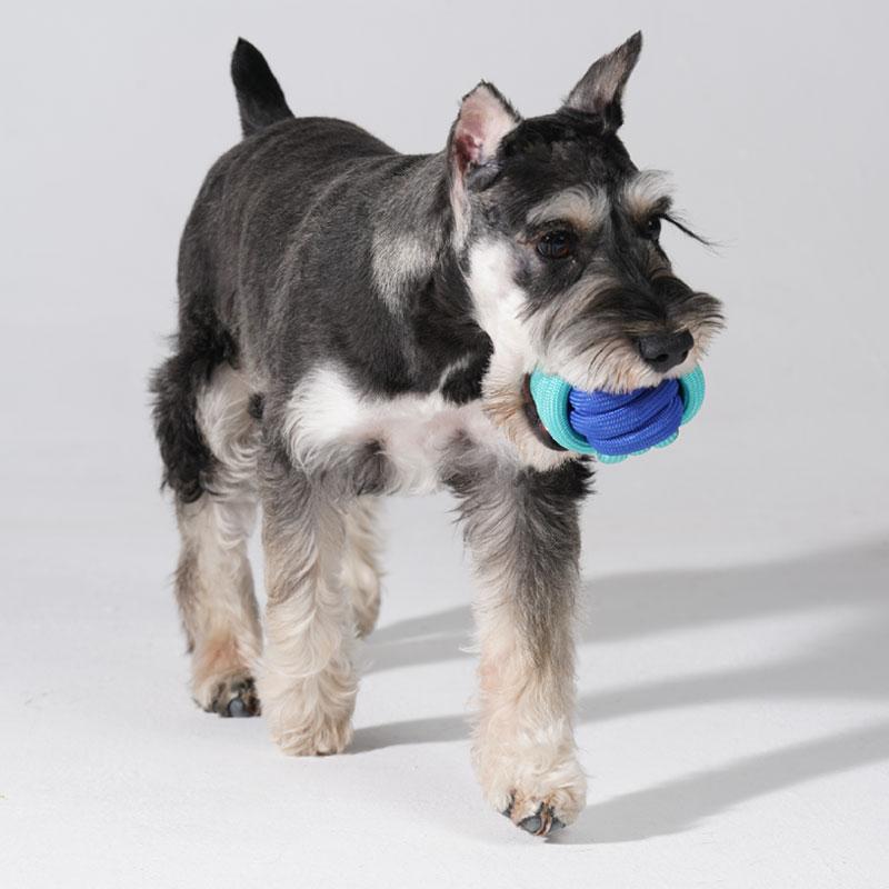 Pawzcity Neon City Rope Ball Dog Toy (5 Colours) - CreatureLand