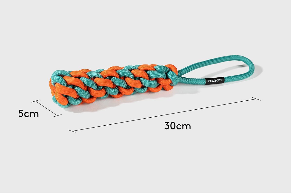 Pawzcity Neon City Rope Stick Dog Toy (3 Colours) - CreatureLand