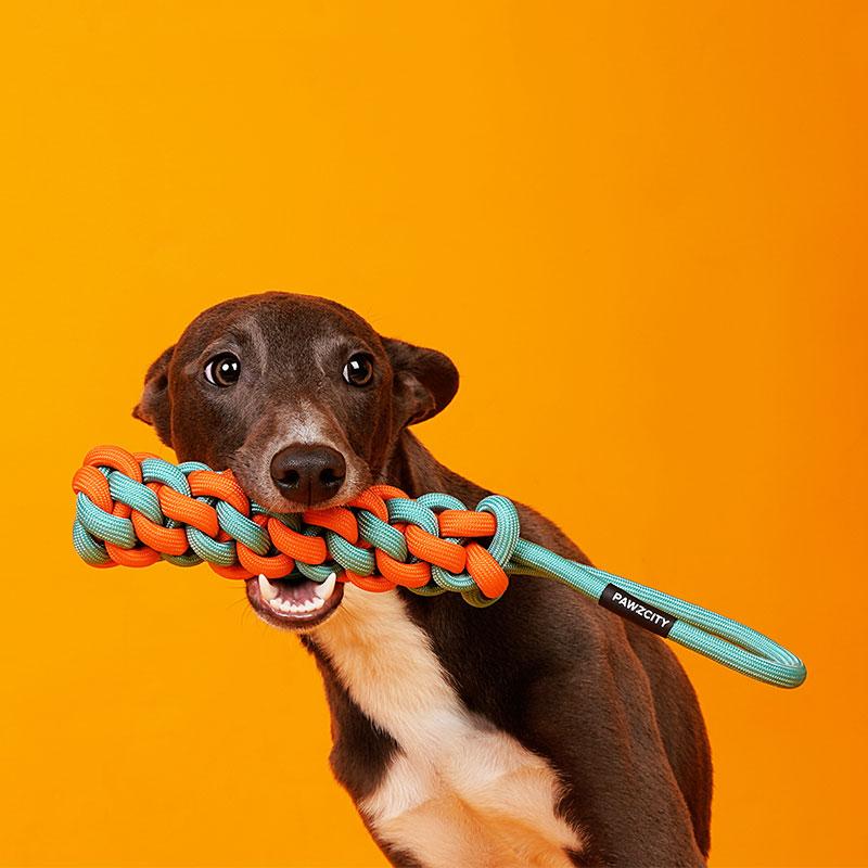 Pawzcity Neon City Rope Stick Dog Toy (3 Colours) - CreatureLand