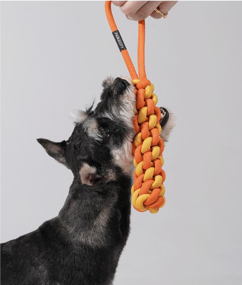 Pawzcity Neon City Rope Stick Dog Toy (3 Colours) - CreatureLand