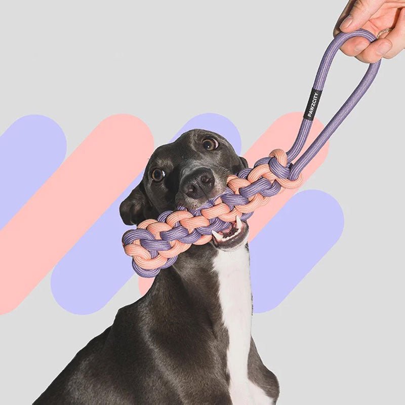 Pawzcity Neon City Rope Stick Dog Toy (4 Colours) - CreatureLand