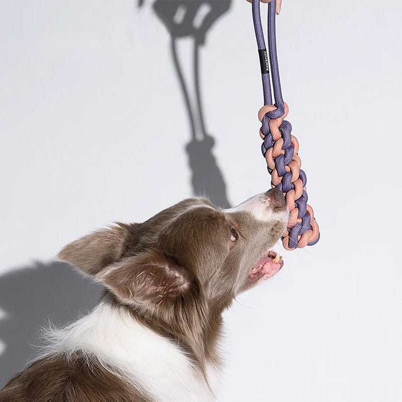 Pawzcity Neon City Rope Stick Dog Toy (4 Colours) - CreatureLand