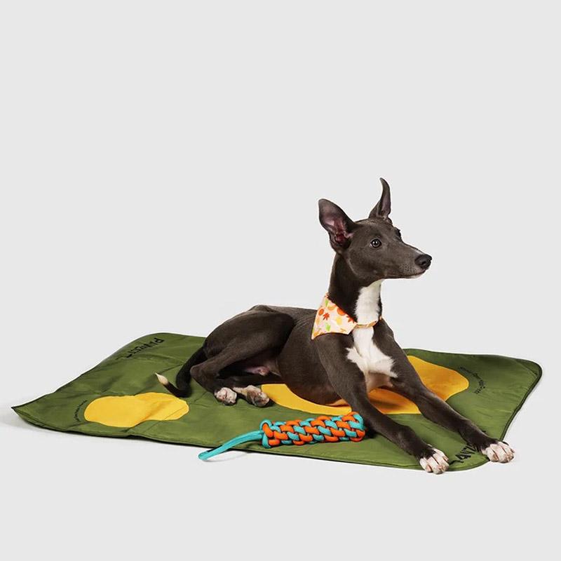 Pawzcity Outdoor Travel Mat (3 Colours) - CreatureLand