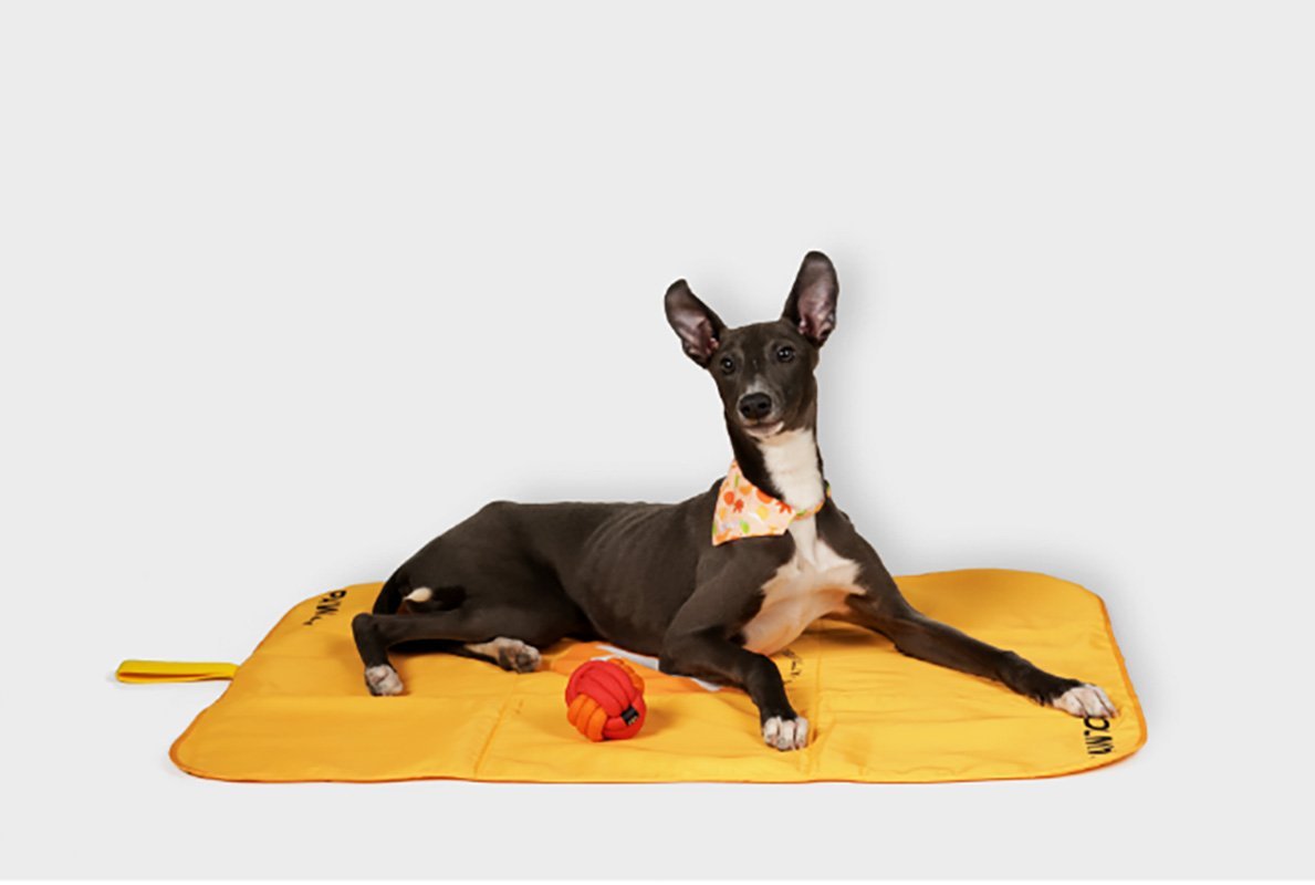 Pawzcity Outdoor Travel Mat (3 Colours) - CreatureLand