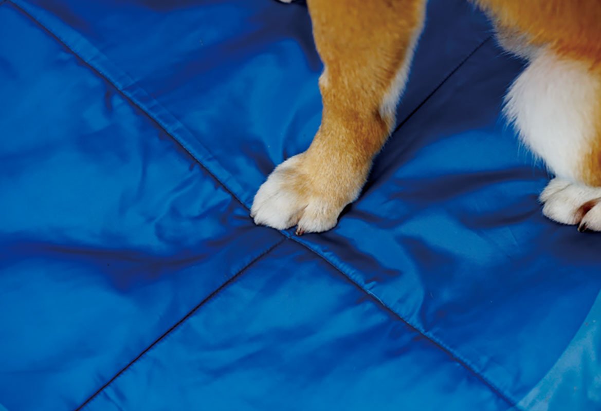 Pawzcity Outdoor Travel Mat (3 Colours) - CreatureLand