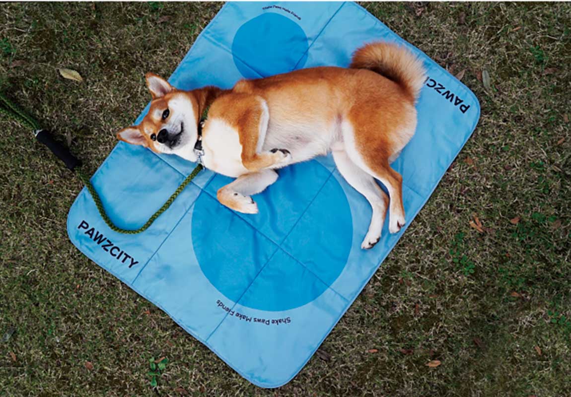 Pawzcity Outdoor Travel Mat (3 Colours) - CreatureLand