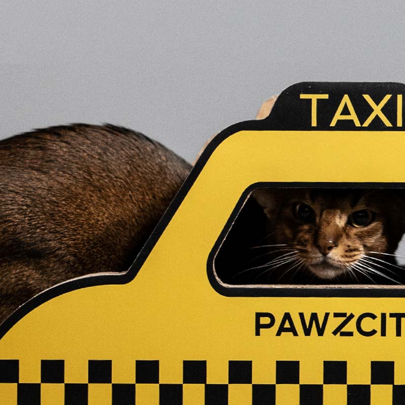 Pawzcity Taxi Cat Scratcher - CreatureLand