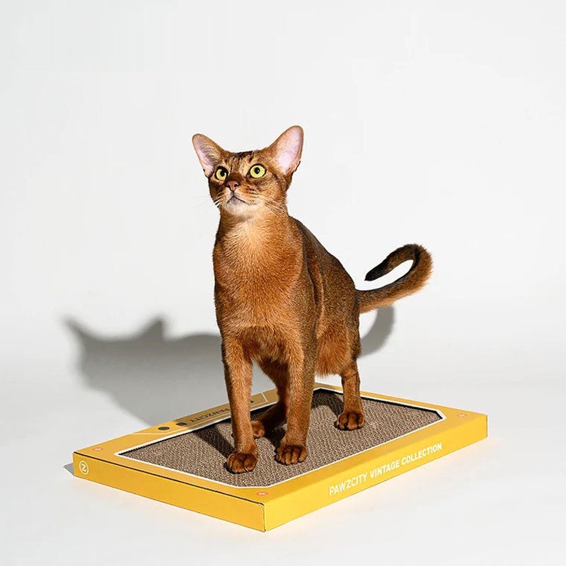 Pawzcity Vintage Cassette Cat Scratcher (4 Colours) - CreatureLand
