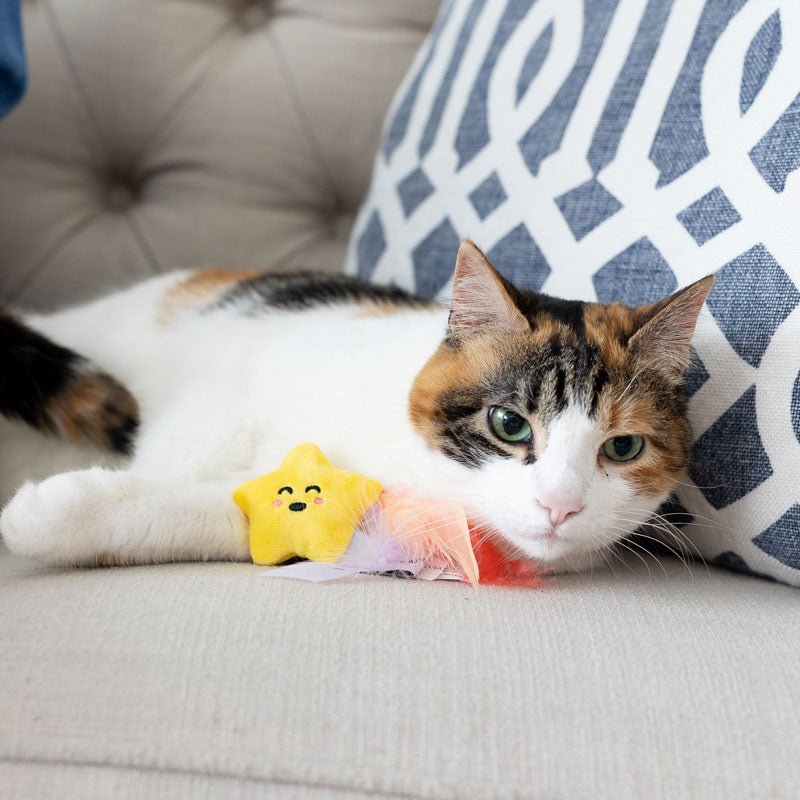 Pearhead Pawstronaut Cat Toy Set - CreatureLand
