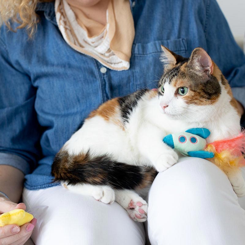 Pearhead Pawstronaut Cat Toy Set - CreatureLand