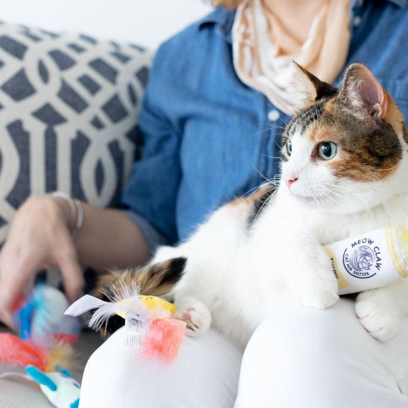 Pearhead Pawty Time Cat Toy Set - CreatureLand