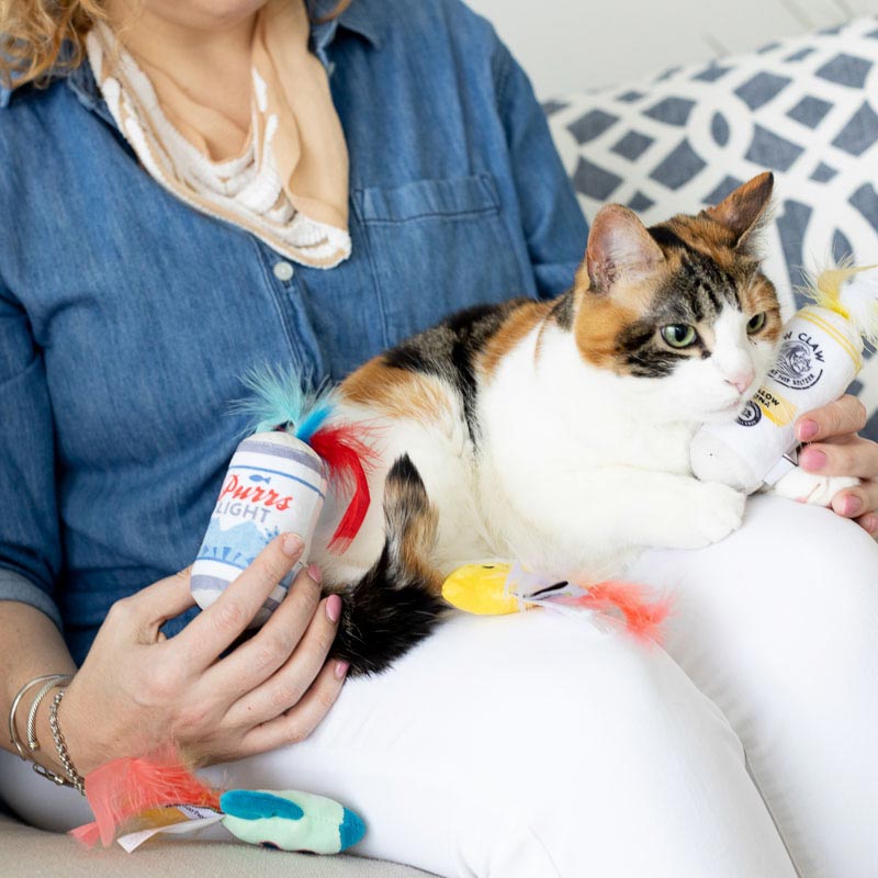 Pearhead Pawty Time Cat Toy Set - CreatureLand