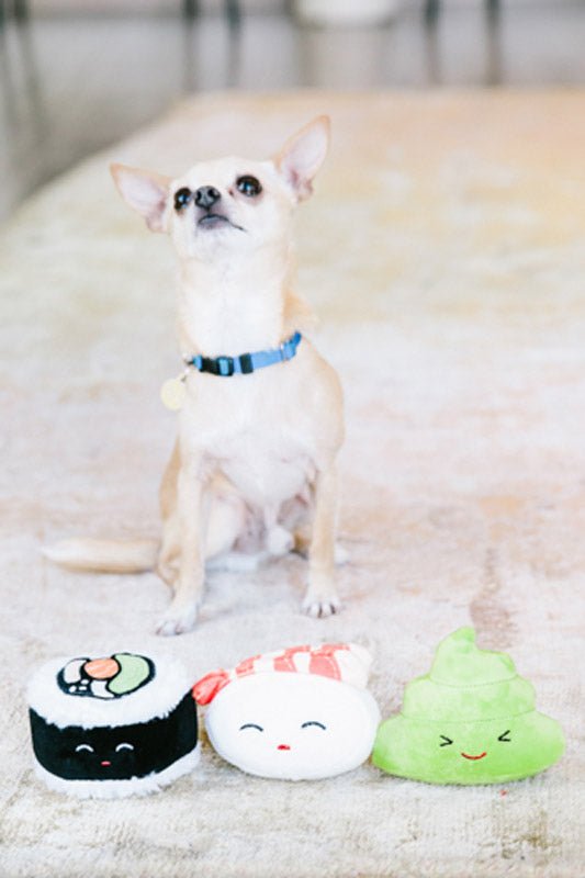 Pearhead Sushi Dog Toys (Set of 3) - CreatureLand
