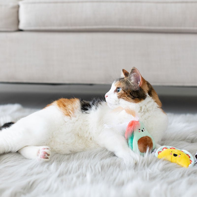 Pearhead Taco Time Cat Toy Set - CreatureLand