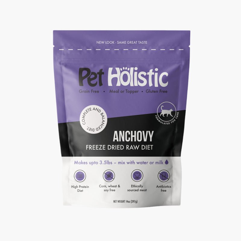 Pet Holistic Freeze Dried Raw Cat Food - Anchovy (14oz) - CreatureLand