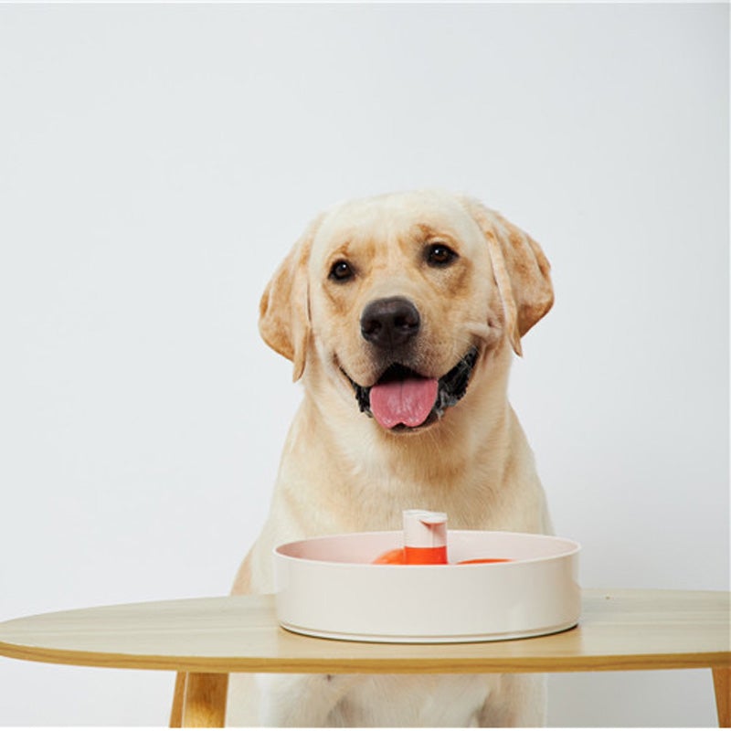 PetDreamHouse SPIN Interactive Feeder | Bougainvillea Orange - CreatureLand