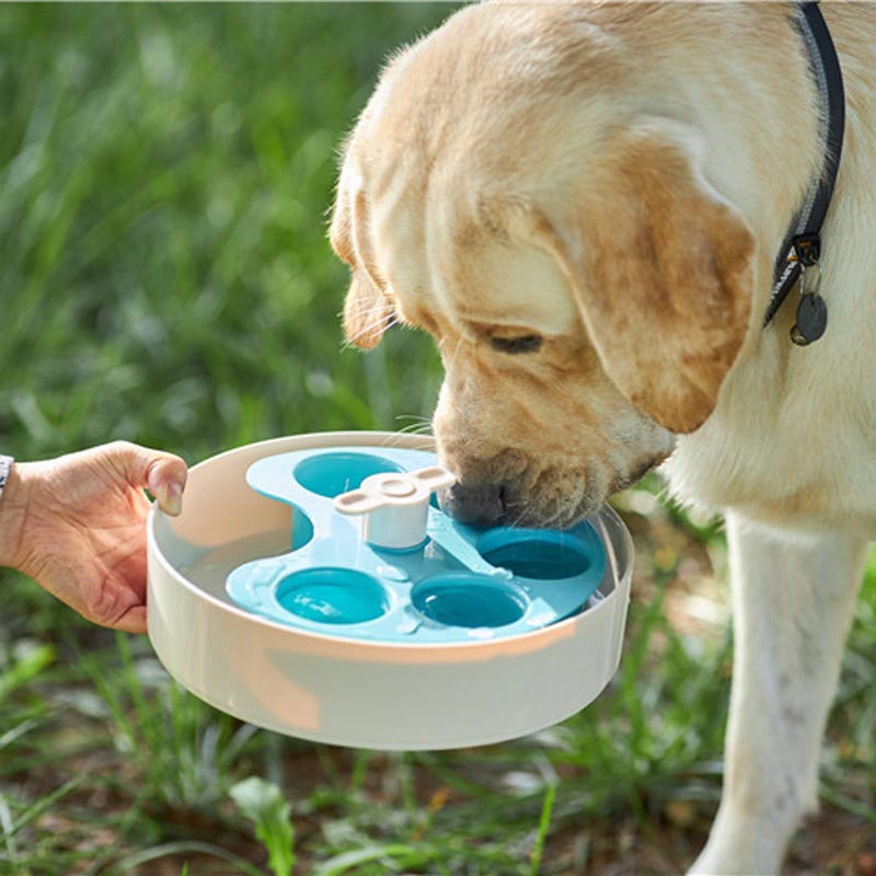 PetDreamHouse SPIN Interactive Feeder | Palette Blue - CreatureLand