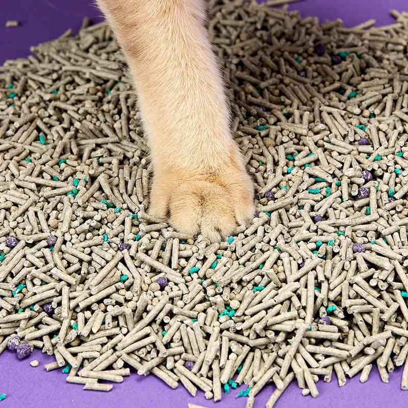 Petkit 5-in-1 Tofu Mixed Flushable Clumping Cat Litters (4 Packs) - CreatureLand