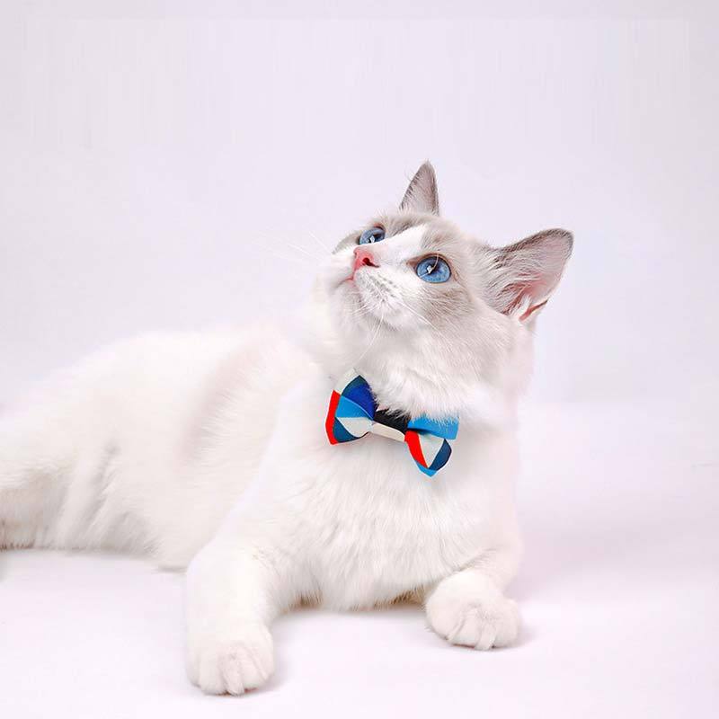 Petshy Cat Bow Tie Collar - CreatureLand