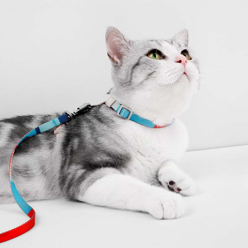 Petshy Cat Harness and Leash Set (3 Colours) - CreatureLand