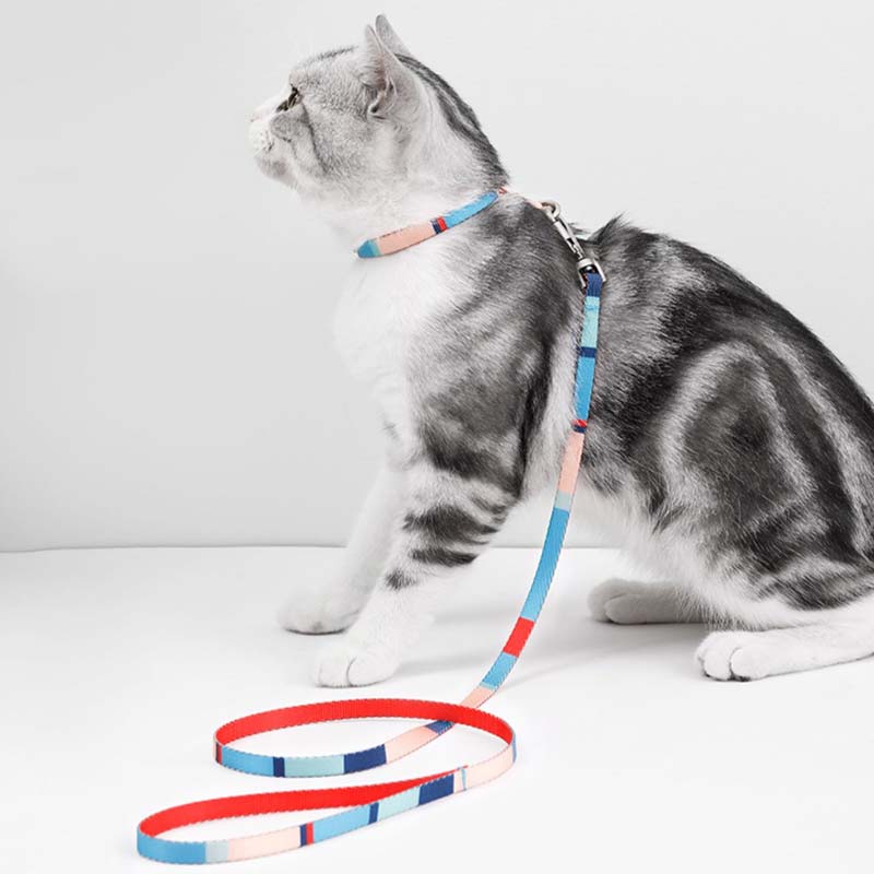 Petshy Cat Harness and Leash Set (3 Colours) - CreatureLand