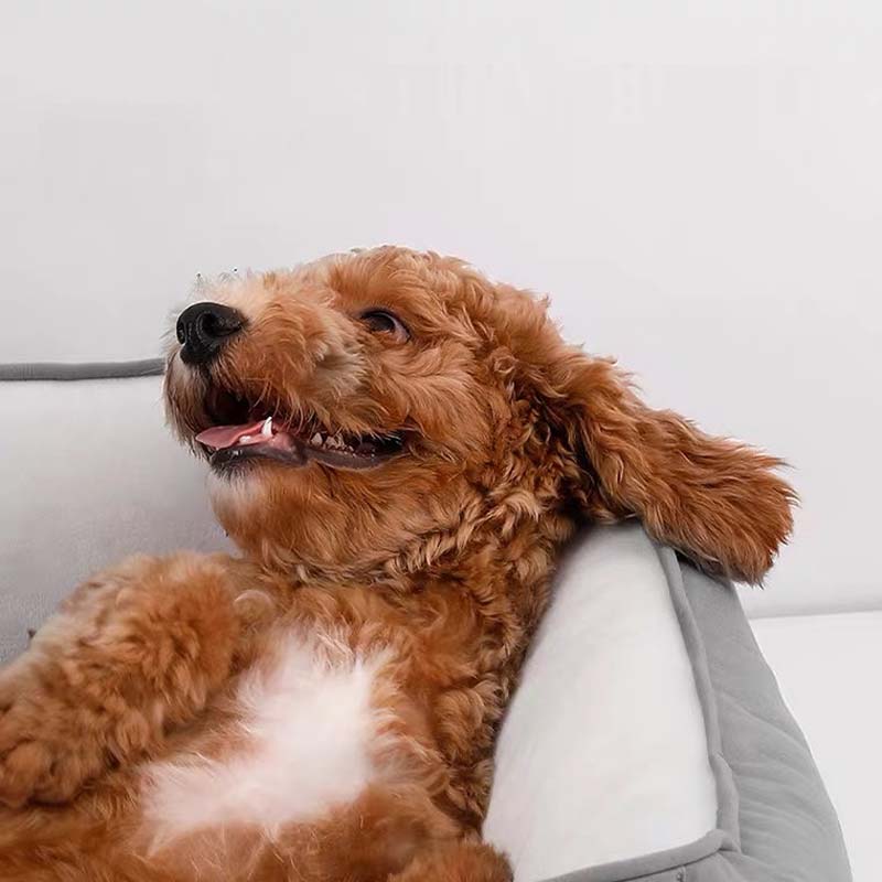 Petshy Deep Sleep Pet Bed (2 Colours) - CreatureLand