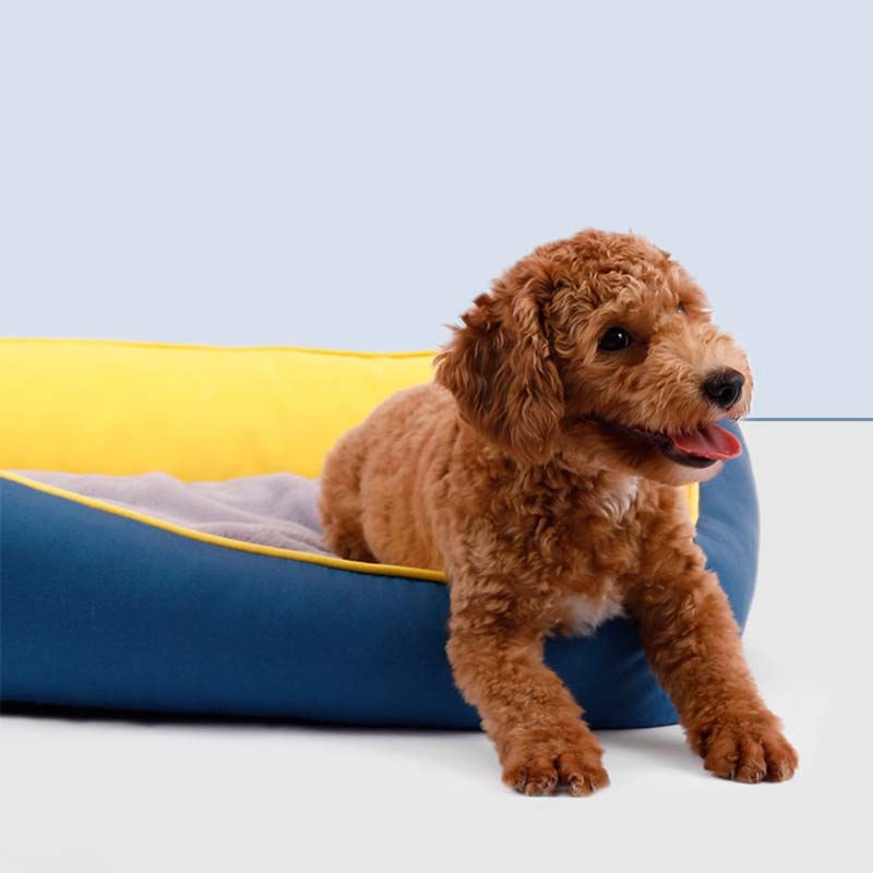 Petshy Floating Cloud Pet Bed (2 Colours) - CreatureLand