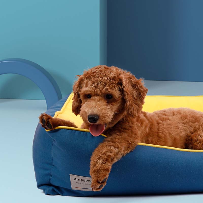 Petshy Floating Cloud Pet Bed (2 Colours) - CreatureLand