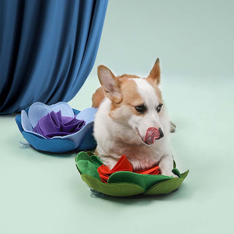 Petshy Flower Snuffle Mat (2 Colours) - CreatureLand
