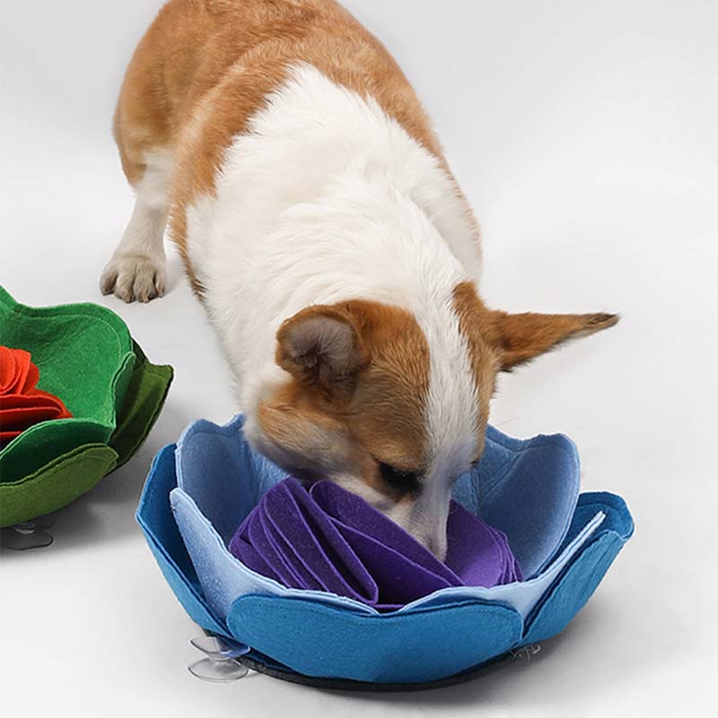 Petshy Flower Snuffle Mat (2 Colours) - CreatureLand