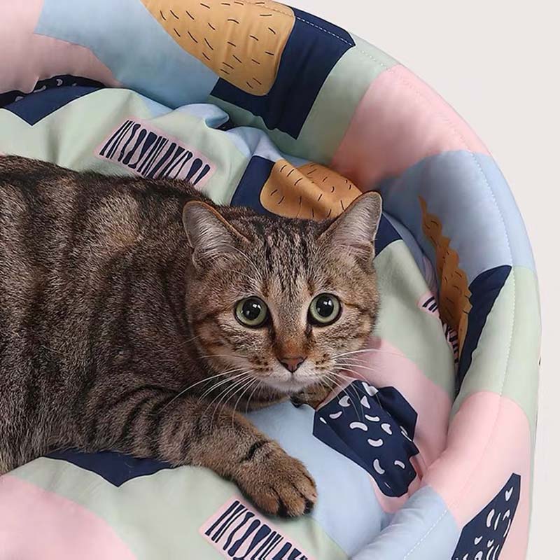 Petshy Gustav Pet Bed - CreatureLand