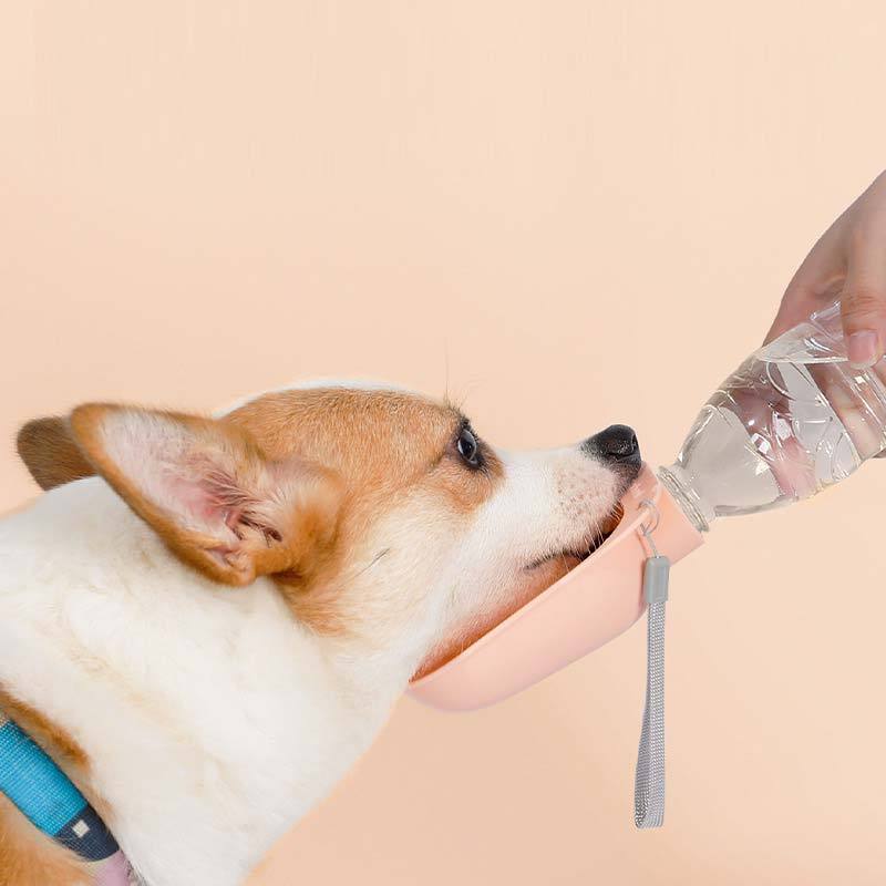 Petshy Outdoor Water Feeder (2 Colours) - CreatureLand