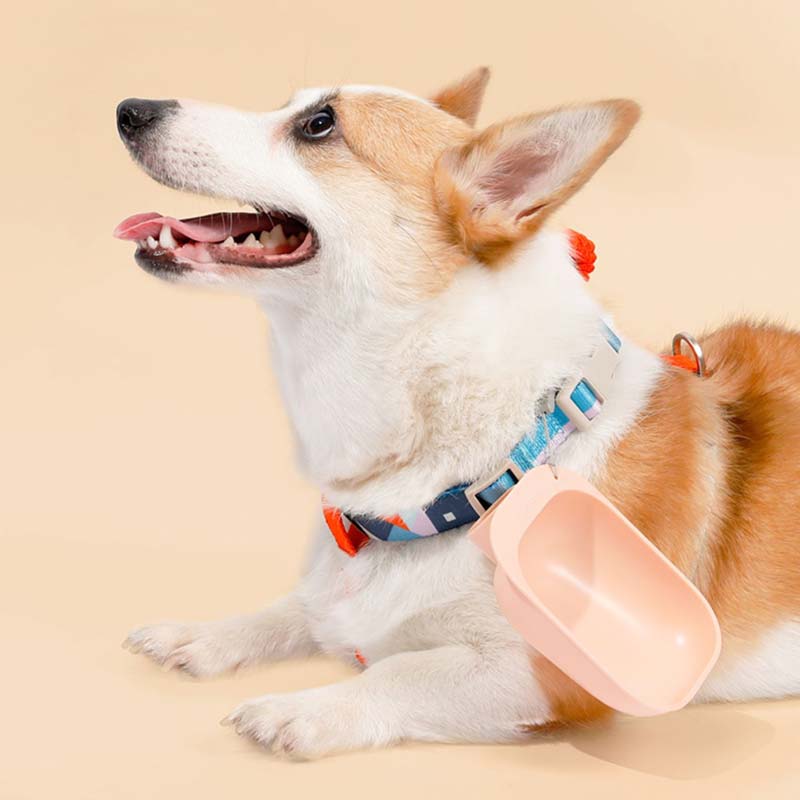 Petshy Outdoor Water Feeder (2 Colours) - CreatureLand