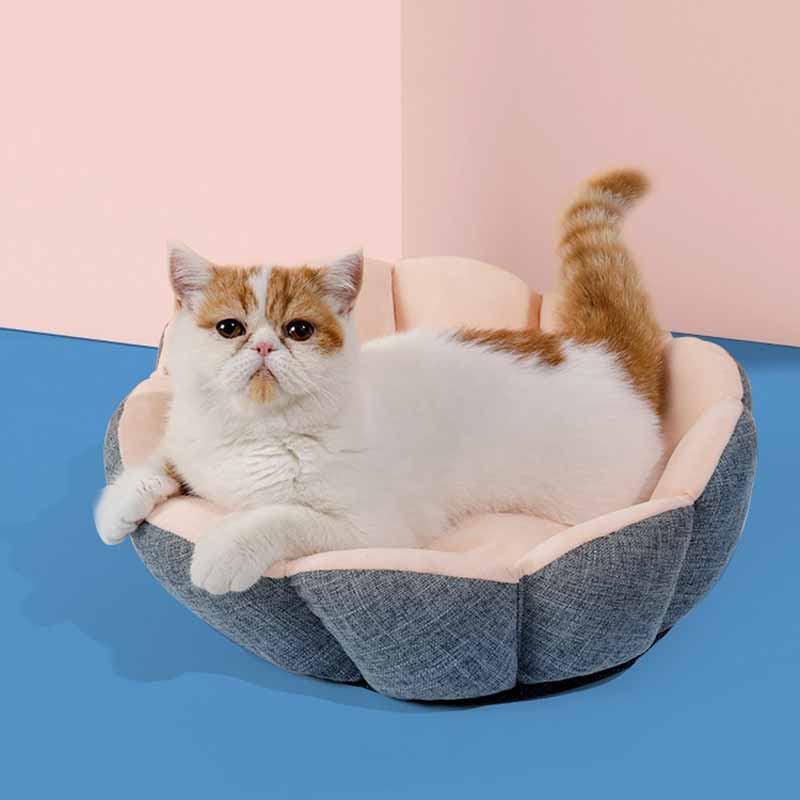 Petshy Shell Pet Bed - CreatureLand