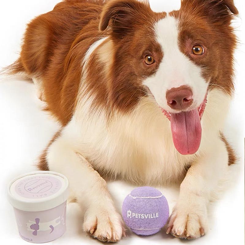 Petsville Ice Cream Tub Tennis Ball Dog Toy (5 Colours) - CreatureLand