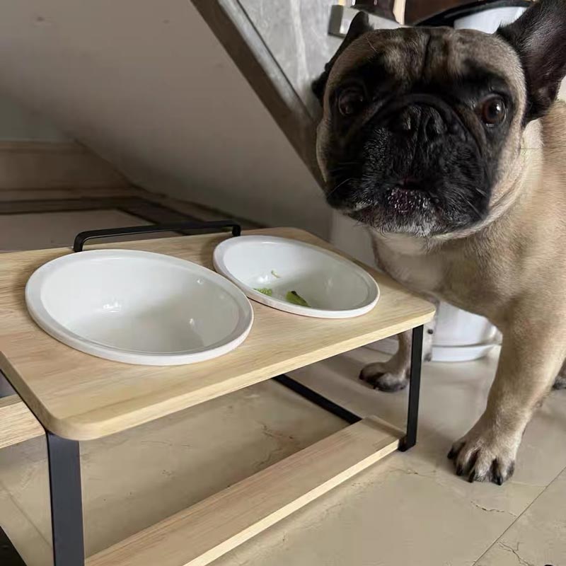 Popocola Duo Pine Pet Feeder - CreatureLand