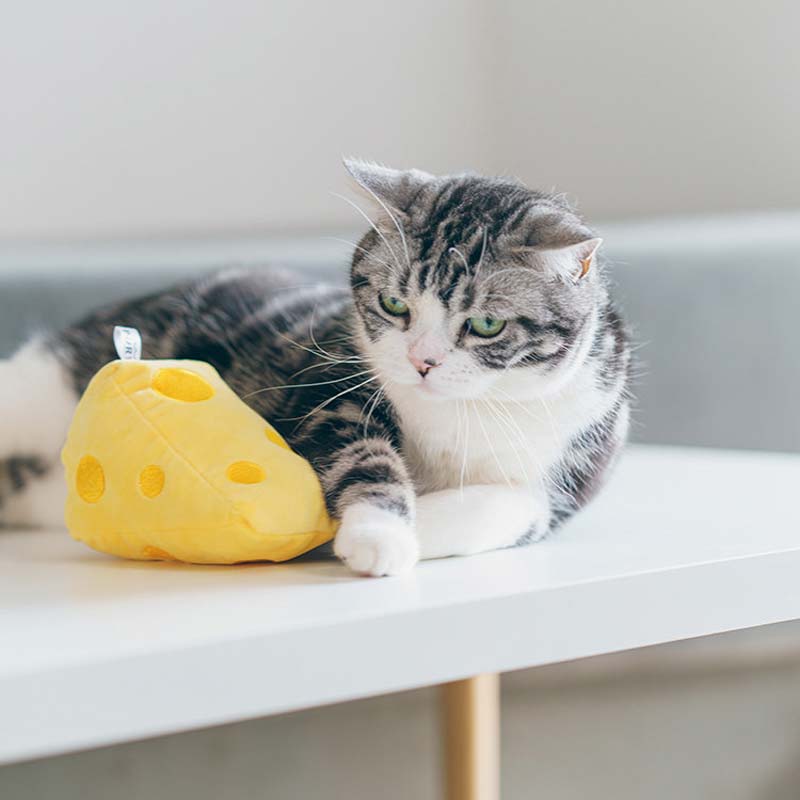 PurLab Cheese Catnip Toy - CreatureLand