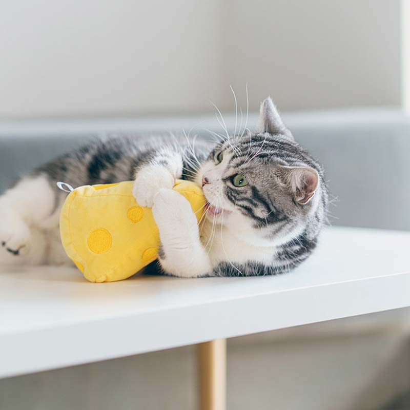 PurLab Cheese Catnip Toy - CreatureLand