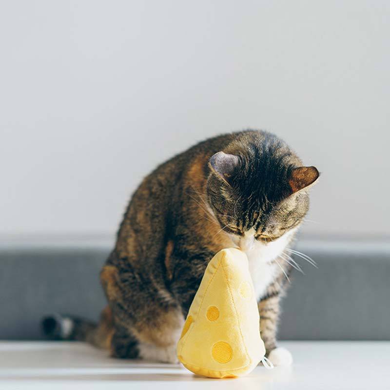 PurLab Cheese Catnip Toy - CreatureLand