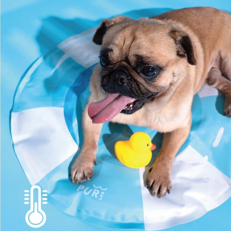 PurLab Pool Buoy Cooling Pad - CreatureLand