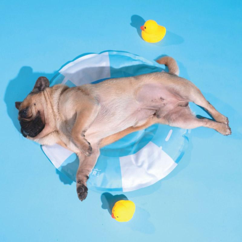 PurLab Pool Buoy Cooling Pad - CreatureLand