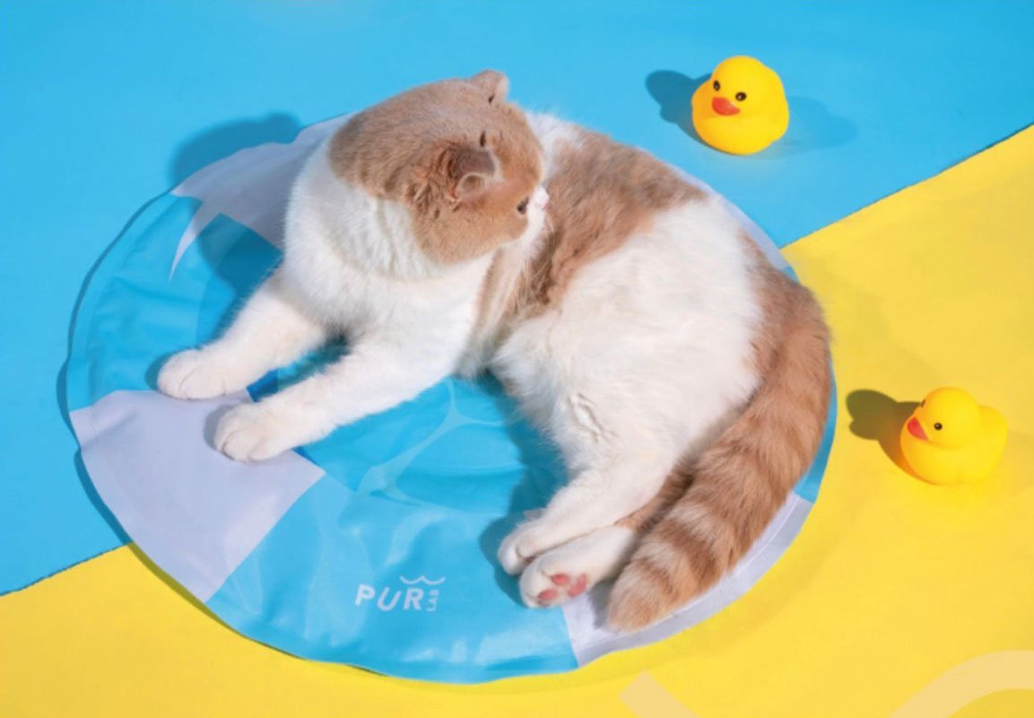 PurLab Pool Buoy Cooling Pad - CreatureLand