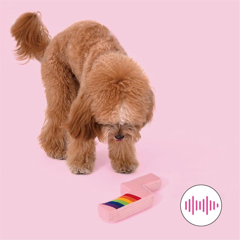 PurLab Squeaky Lightning Bolt Dog Toy - CreatureLand