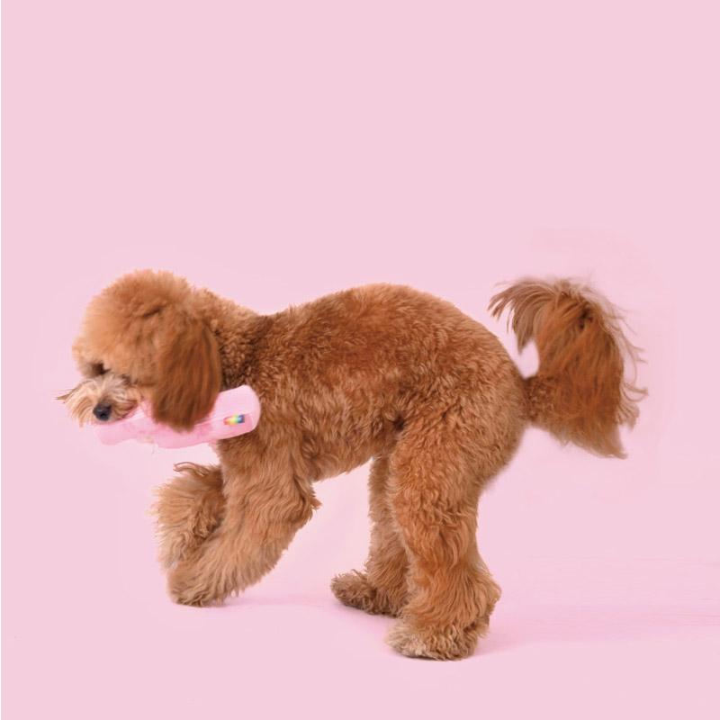 PurLab Squeaky Lightning Bolt Dog Toy - CreatureLand