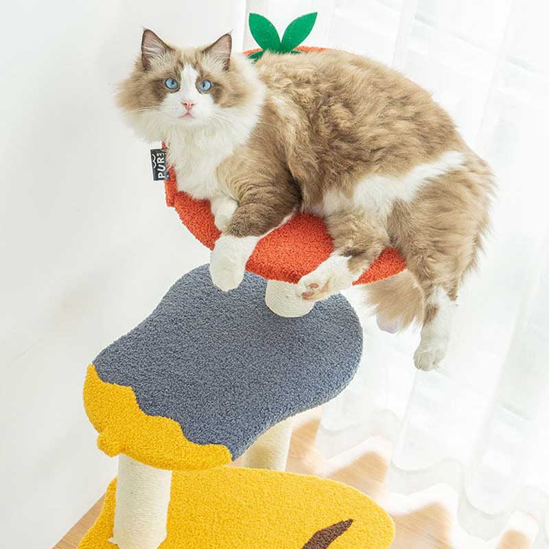 PurLab Vegetable Garden Cat Condo - CreatureLand